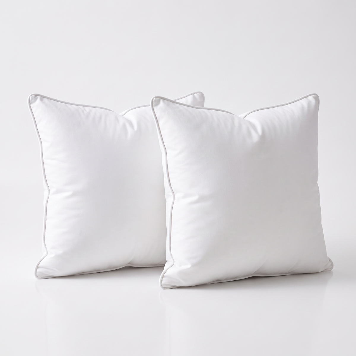 Coussin de canapé en duvet de canard 45x45 cm - Lot de 2