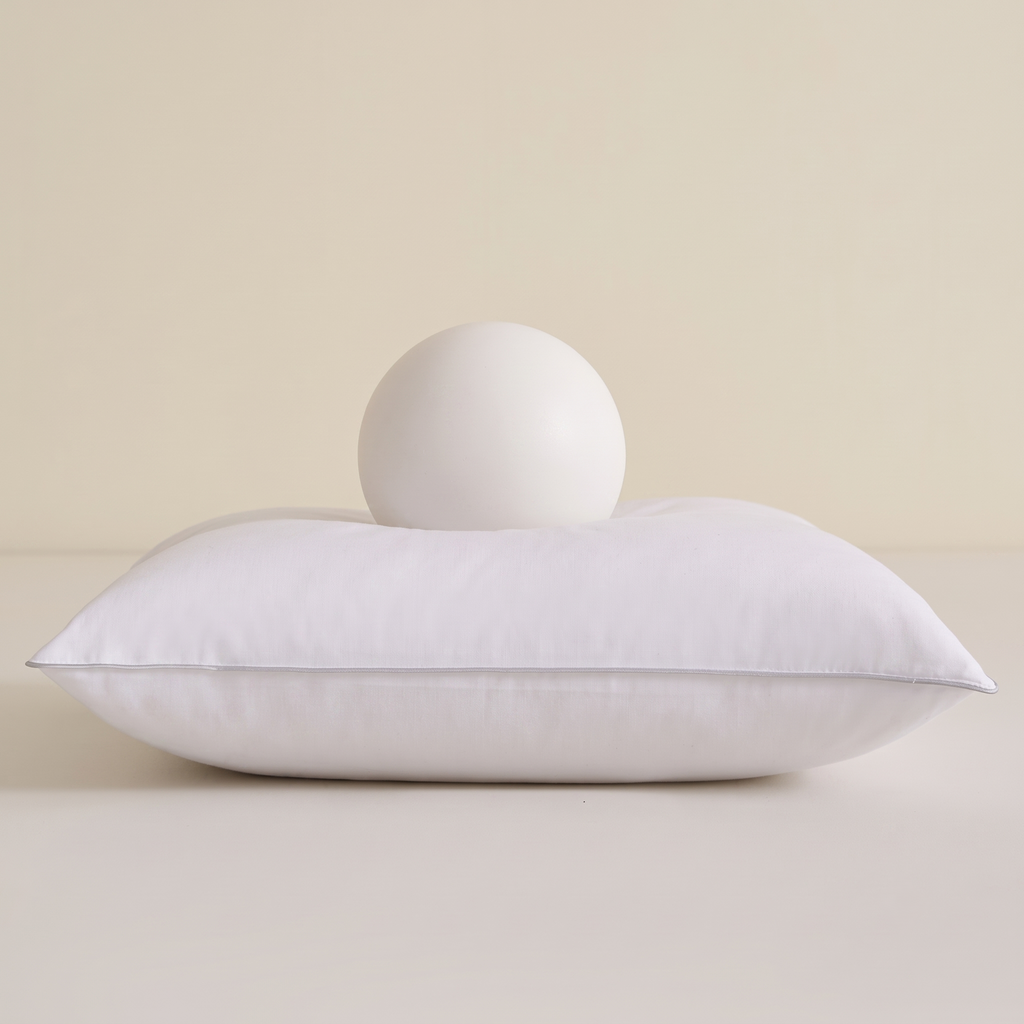 Coussin de canapé en plume d'oie 45x45 cm